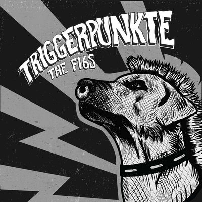 The cover of Triggerpunkte by The F16s