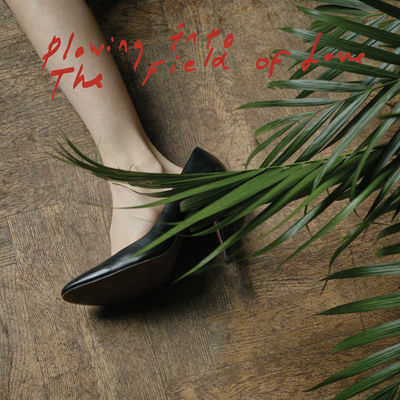 The cover of Plowing Into the Field of Love by Iceage