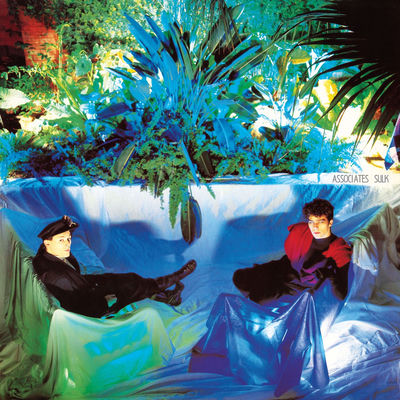 The cover of Sulk by The Associates