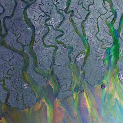 The cover of An Awesome Wave by alt-J