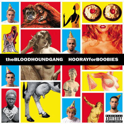 The cover of Hooray for Boobies by Bloodhound Gang