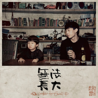 The cover of Wu Fa Zhang Da by Zhao Lei